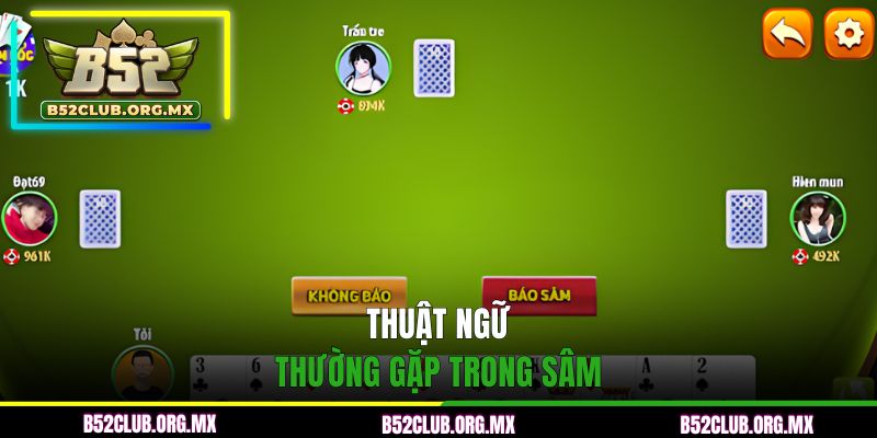 Thuật ngữ thường gặp trong sâm